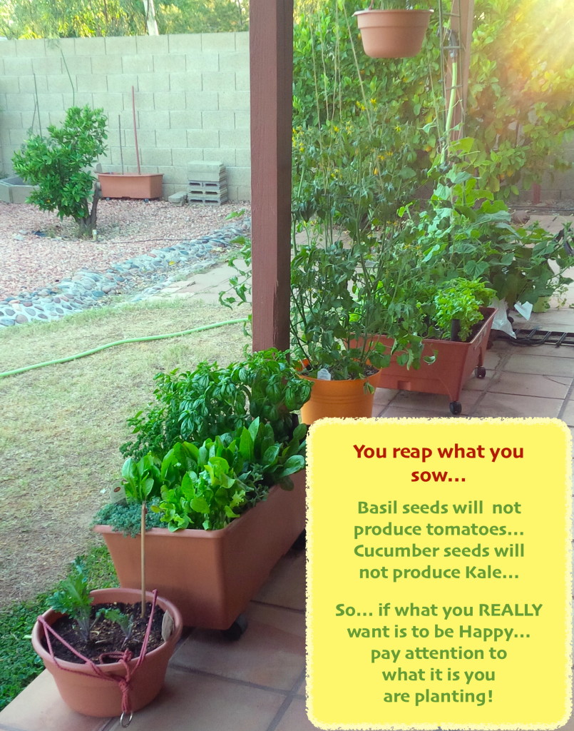 Plant what you want to grow, Beth Terry @EverybodysLost.com