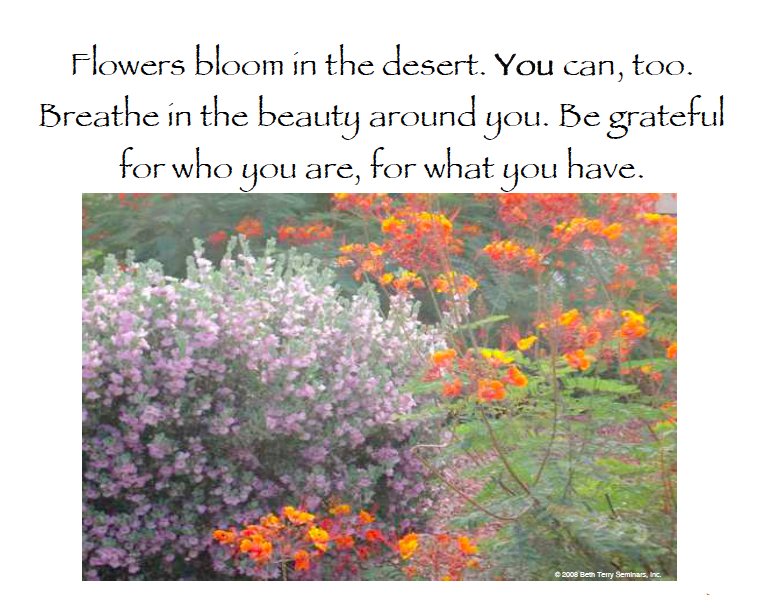 Gratitude and Grace help us bloom in the desert. (c) Beth Terry, CSP